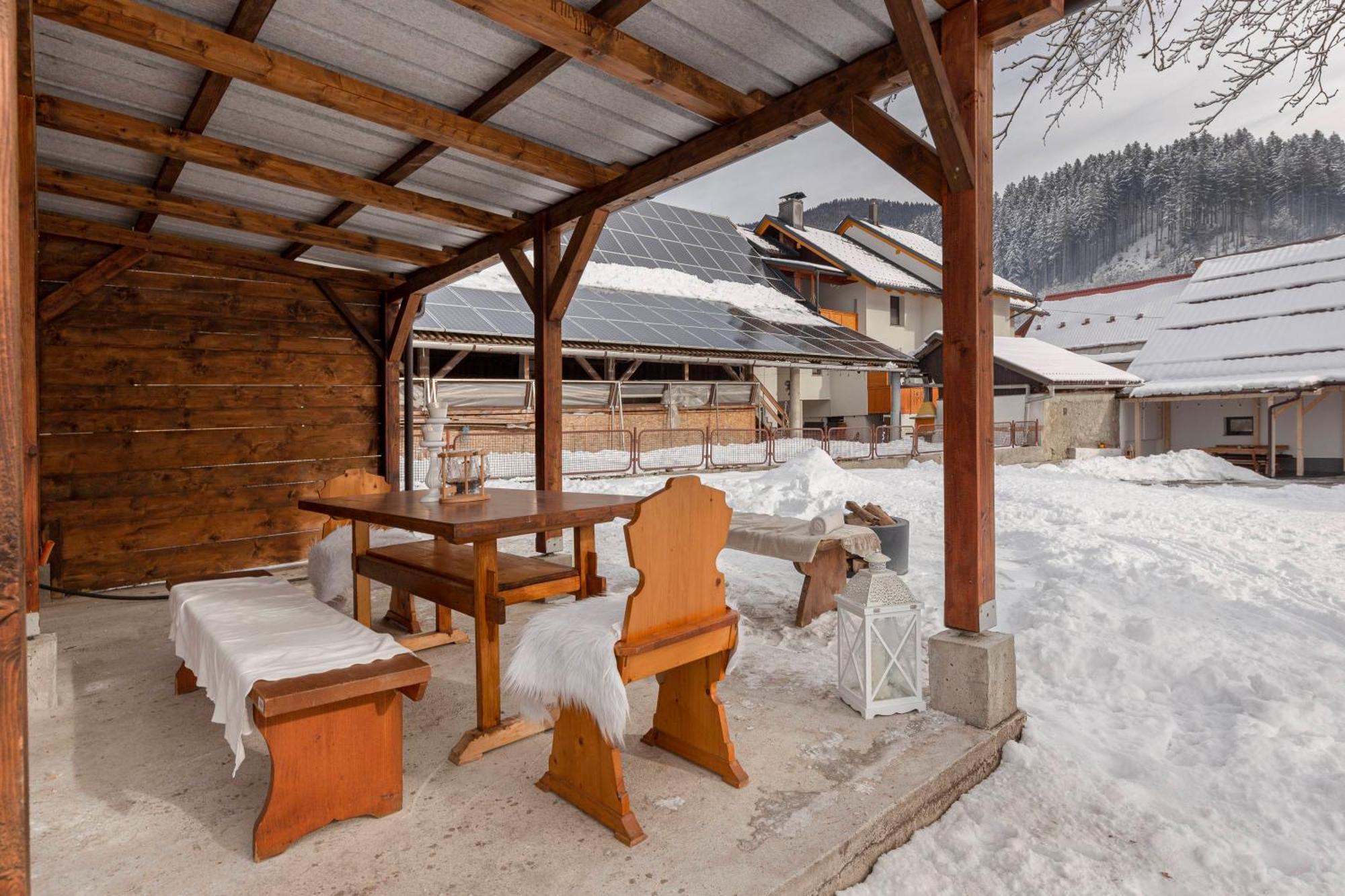 Deluxe 55 Apartment Kranjska Gora